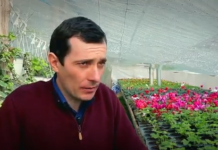 UNIREA ÎNSEAMNĂ bani pentru agricultură unirea bani pentru agricultura