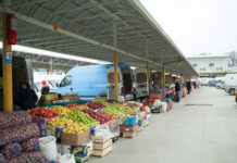 Musca la arat, varianta modernă