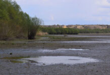 Lacul Beleu în perspectiva de revigorare?